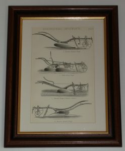 Agricultural Implements 3 Plough page dated 1880 available unframed